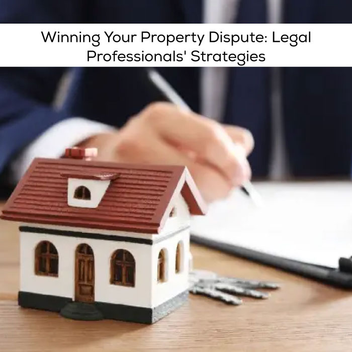 What Strategies Do Legal Pros Follow To Win A Case Related To Property Dispute