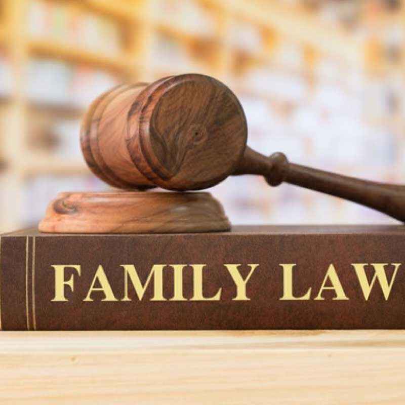 Family Case Lawyers  in Basti