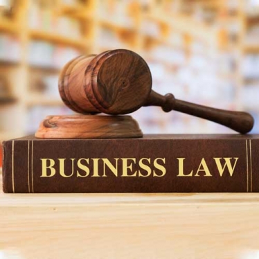 Business Litigation Lawyer in Ashram