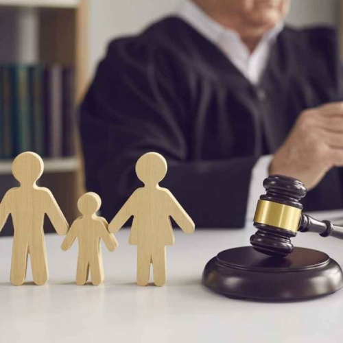 Child Custody Lawyer in Pitam Pura