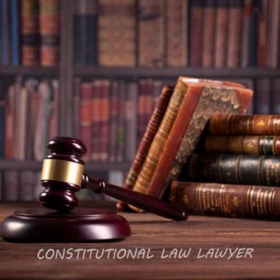 Constitutional Law Lawyer in Delhi