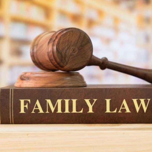 Family Case Lawyers in India
