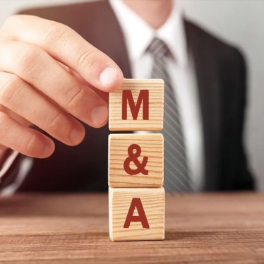 Mergers & Acquisitions Law Firm in Palwal